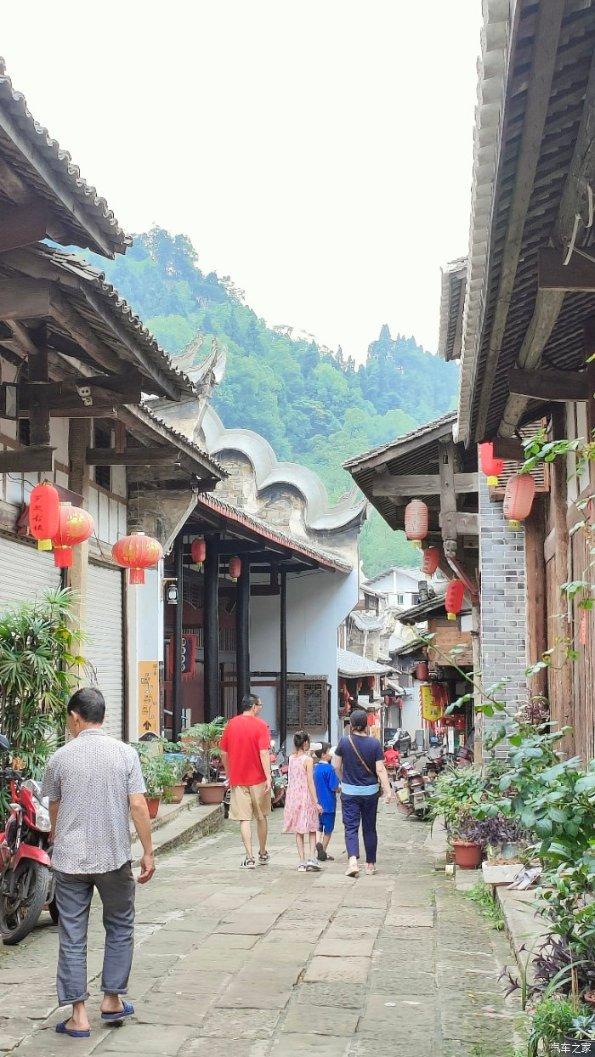 救援鹦鹉